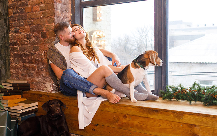 Reduce Unwanted Heat and Glare with Hidbea Professional Window Films