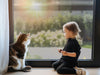 Window Film Q&A